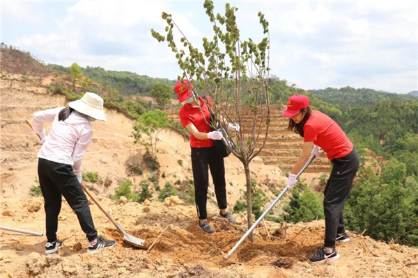 J9国际站-集团最新官网