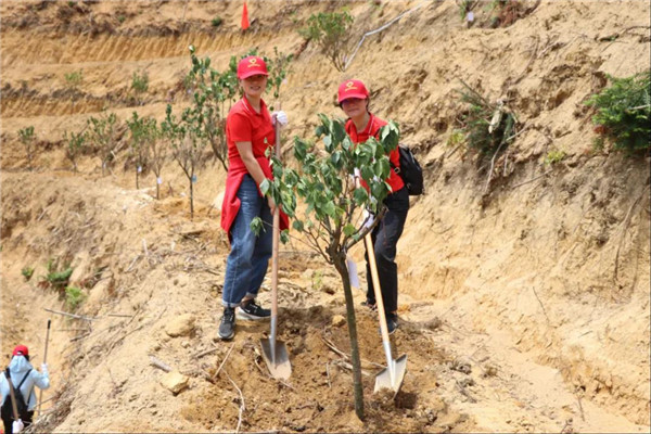 J9国际站-集团最新官网