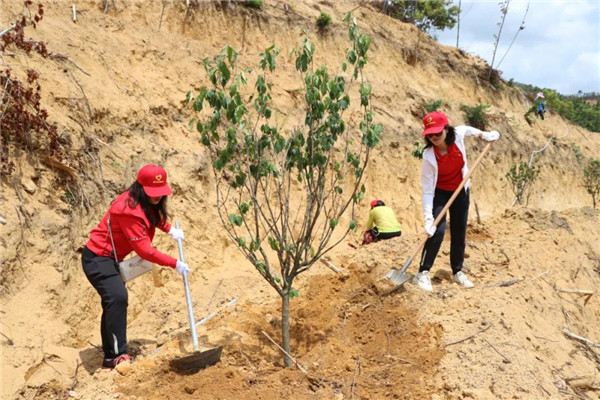 J9国际站-集团最新官网