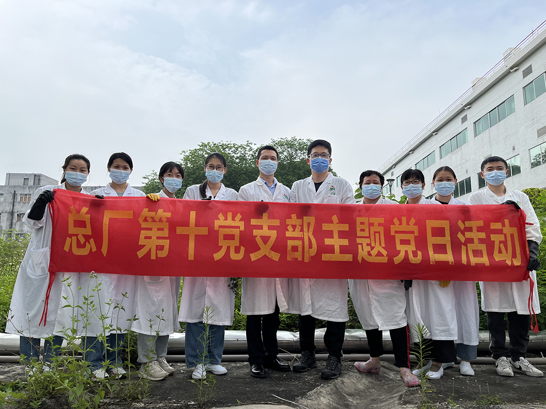 抵御风雨的青年实力——第十党支部开展主题党日活动