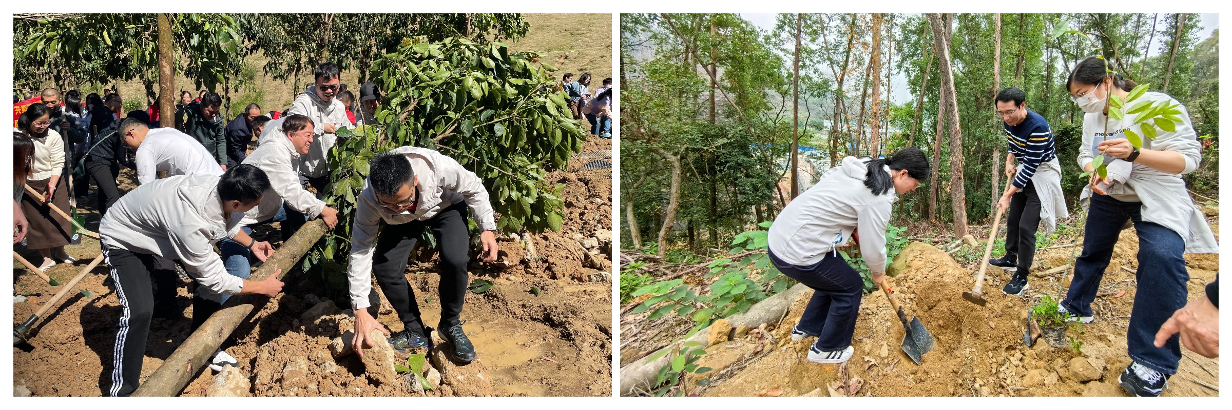 J9国际站-集团最新官网