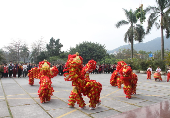 金蛇辞岁,骏马报福——J9国际站举行新春开工仪式-党团文化-J9国际站