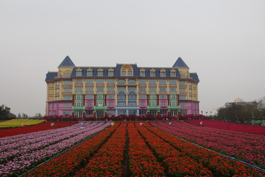 J9国际站职能部分开展庆三八妇女节活动-党团文化-J9国际站