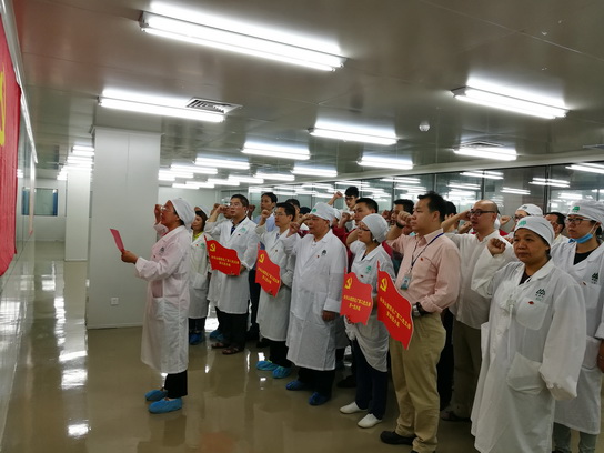 党旗飘起来  党员干起来——J9国际站第二党支部主题党日 - J9国际站