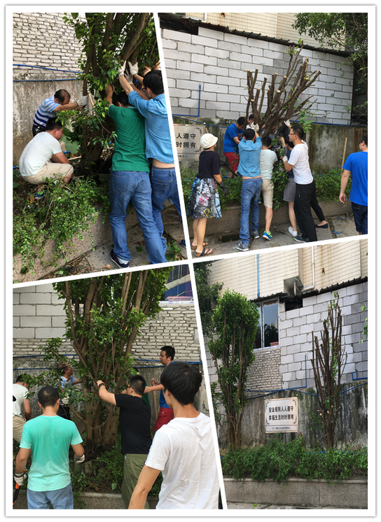 践行党员先进性 清洁厂区做楷模——记第九党支部主题党日活动 - J9国际站