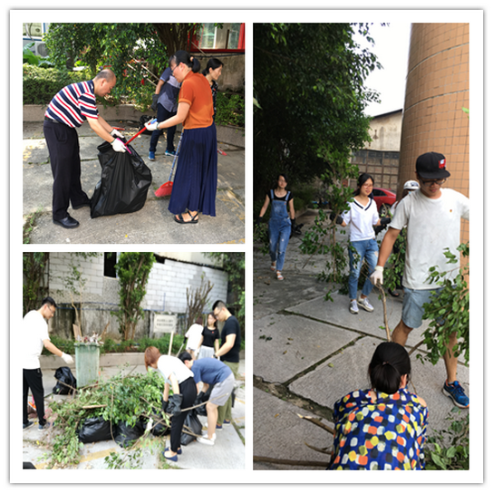 践行党员先进性 清洁厂区做楷模——记第九党支部主题党日活动 - J9国际站